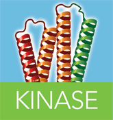 kinase_bg.gif